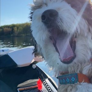 Meet your Posher, Jessika